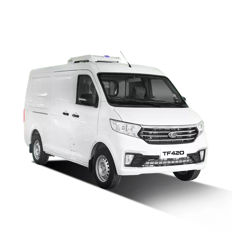 Xe đông lạnh TOWNER V2.3-2S